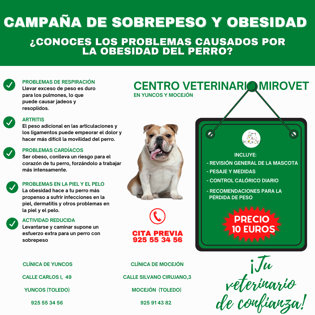 promociones-veterinarias-CAMPAÑA-CONTROL-DE-PESO