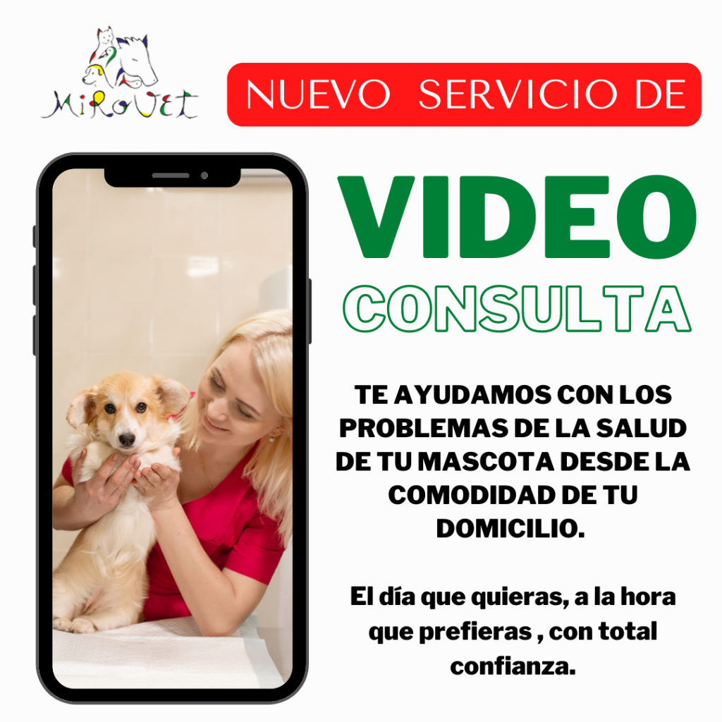 video-consulta